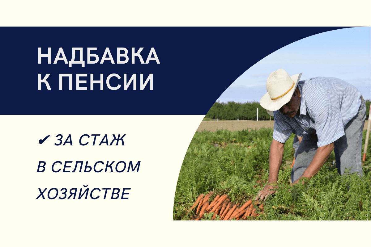 Более 16 тысяч жителей Мордовии получают доплату к пенсию за работу в сельском хозяйстве.