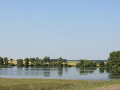 Куликовское сельское поселение