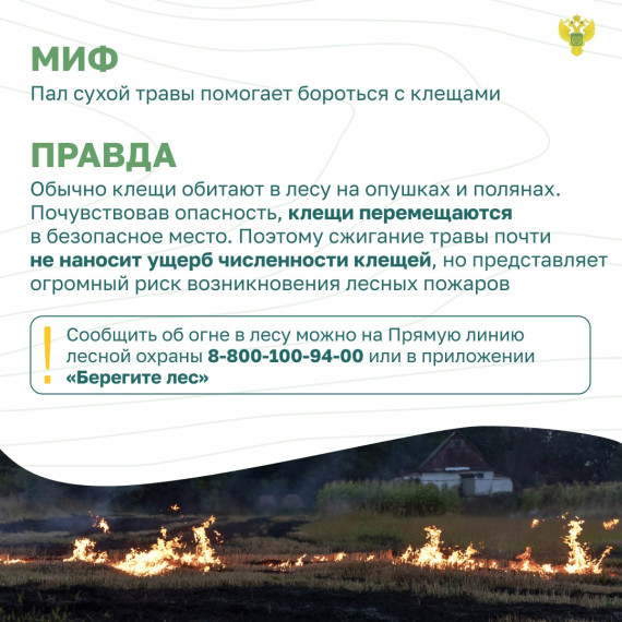 Важная информация для жителей нашего района! На территории Мордовии действует особый противопожарный режим..